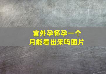 宫外孕怀孕一个月能看出来吗图片