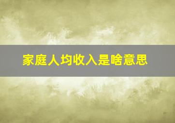 家庭人均收入是啥意思