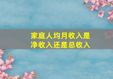 家庭人均月收入是净收入还是总收入