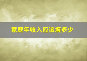 家庭年收入应该填多少