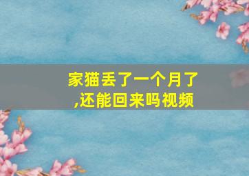 家猫丢了一个月了,还能回来吗视频