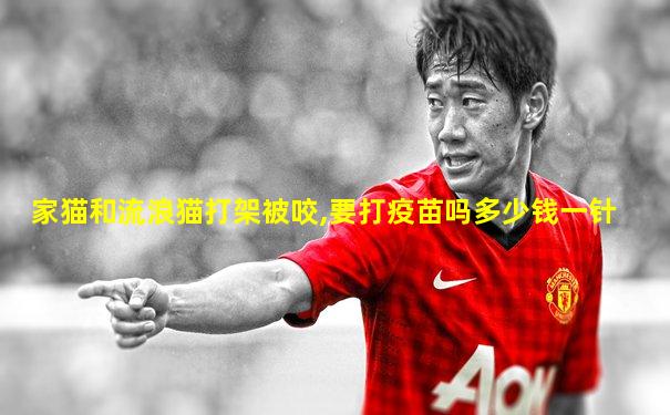 家猫和流浪猫打架被咬,要打疫苗吗多少钱一针