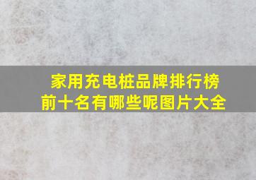 家用充电桩品牌排行榜前十名有哪些呢图片大全