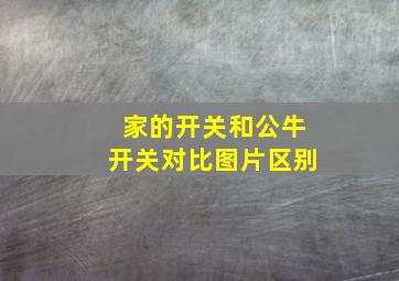 家的开关和公牛开关对比图片区别