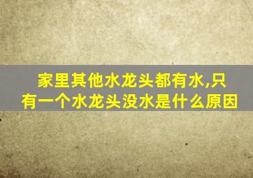 家里其他水龙头都有水,只有一个水龙头没水是什么原因