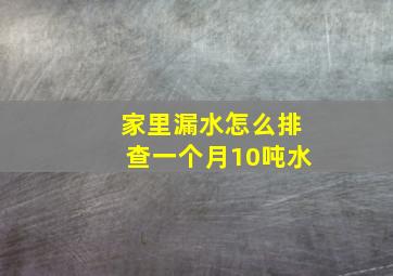 家里漏水怎么排查一个月10吨水