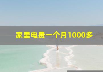 家里电费一个月1000多