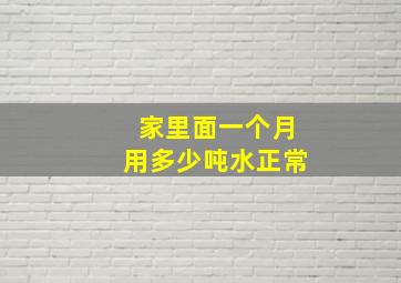 家里面一个月用多少吨水正常