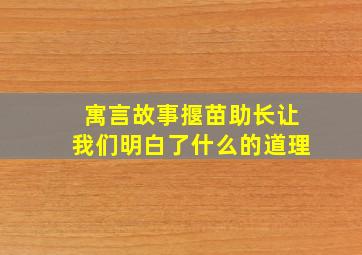 寓言故事揠苗助长让我们明白了什么的道理