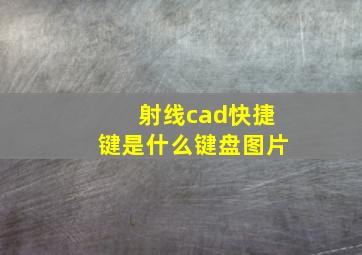 射线cad快捷键是什么键盘图片