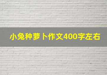 小兔种萝卜作文400字左右