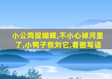 小公鸡捉蝴蝶,不小心掉河里了,小鸭子救刘它,看图写话