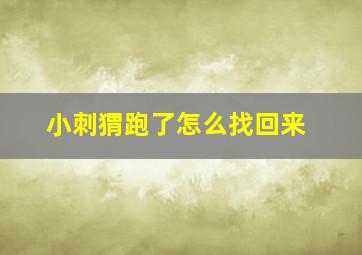 小刺猬跑了怎么找回来