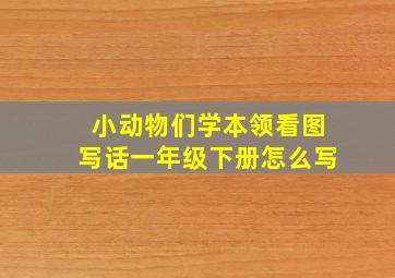 小动物们学本领看图写话一年级下册怎么写