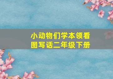 小动物们学本领看图写话二年级下册