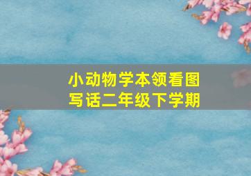 小动物学本领看图写话二年级下学期