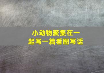 小动物聚集在一起写一篇看图写话