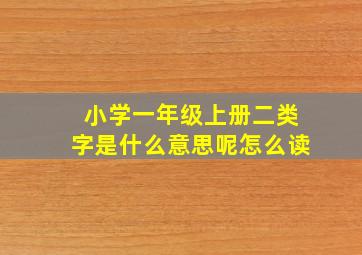 小学一年级上册二类字是什么意思呢怎么读