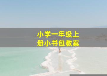 小学一年级上册小书包教案