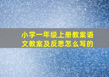 小学一年级上册教案语文教案及反思怎么写的