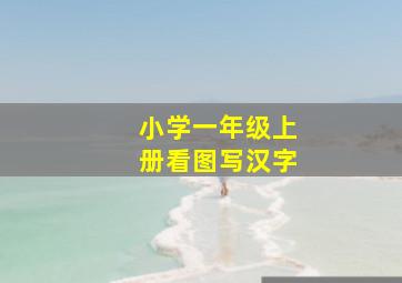 小学一年级上册看图写汉字