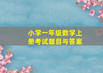 小学一年级数学上册考试题目与答案