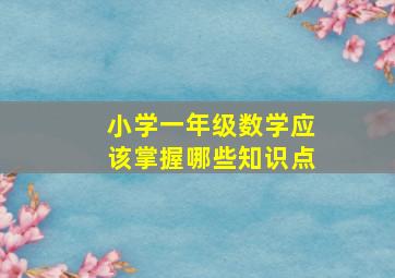 小学一年级数学应该掌握哪些知识点