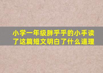 小学一年级胖乎乎的小手读了这篇短文明白了什么道理