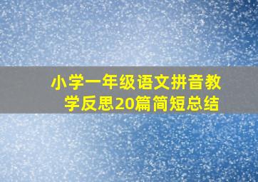 小学一年级语文拼音教学反思20篇简短总结