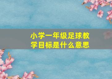 小学一年级足球教学目标是什么意思