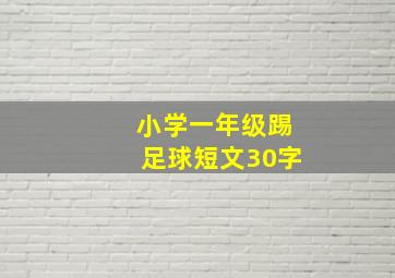 小学一年级踢足球短文30字