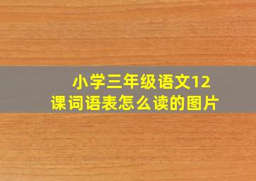 小学三年级语文12课词语表怎么读的图片