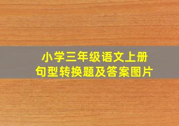 小学三年级语文上册句型转换题及答案图片