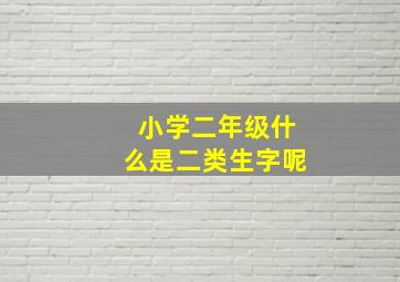 小学二年级什么是二类生字呢