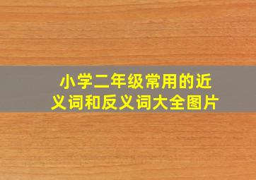 小学二年级常用的近义词和反义词大全图片