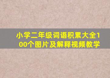 小学二年级词语积累大全100个图片及解释视频教学