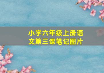 小学六年级上册语文第三课笔记图片