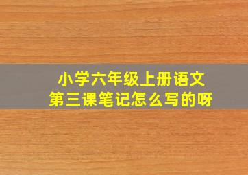 小学六年级上册语文第三课笔记怎么写的呀