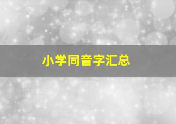 小学同音字汇总