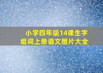 小学四年级14课生字组词上册语文图片大全