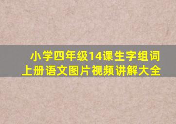 小学四年级14课生字组词上册语文图片视频讲解大全