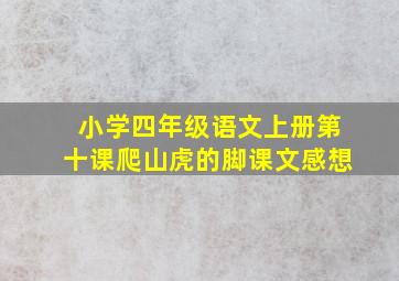 小学四年级语文上册第十课爬山虎的脚课文感想