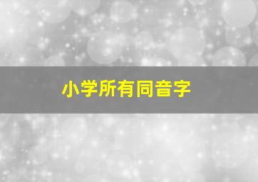 小学所有同音字