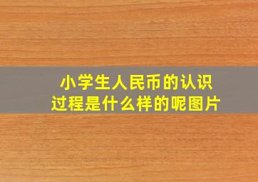 小学生人民币的认识过程是什么样的呢图片