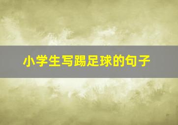 小学生写踢足球的句子