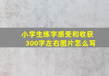 小学生练字感受和收获300字左右图片怎么写