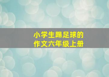 小学生踢足球的作文六年级上册