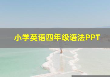 小学英语四年级语法PPT