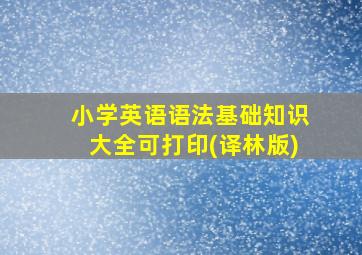 小学英语语法基础知识大全可打印(译林版)