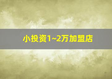 小投资1~2万加盟店